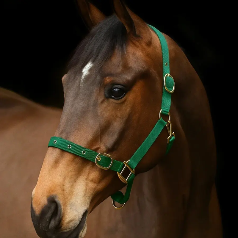 Equi-Sential Nylon Clip Headcollar - Green