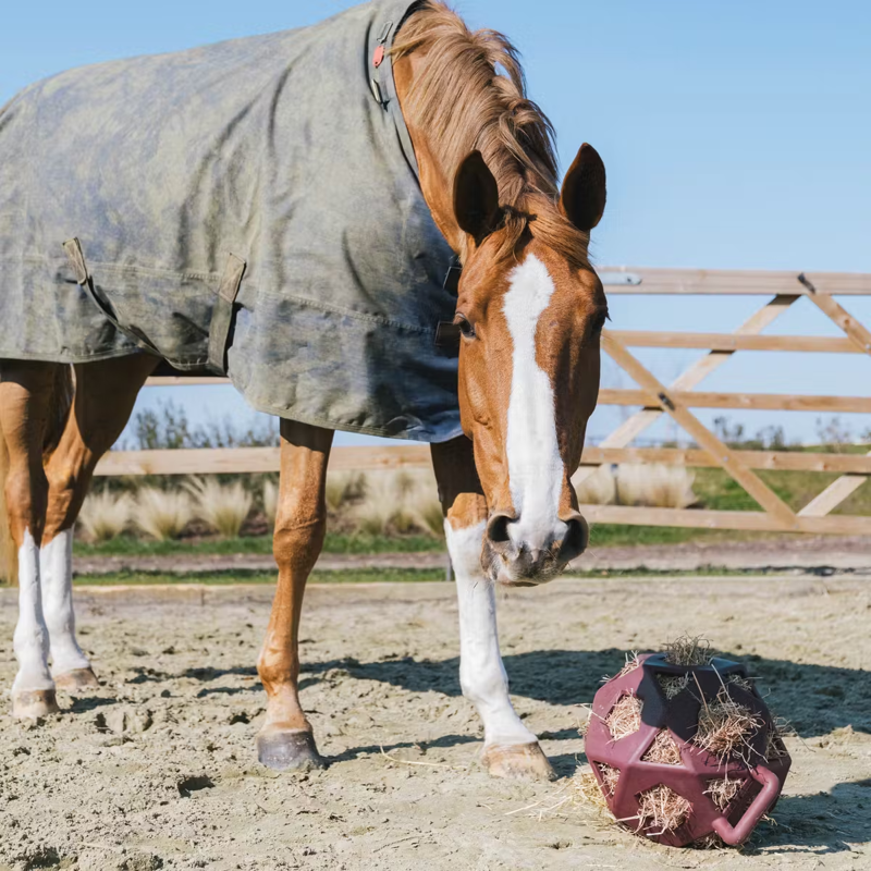Kentucky Relax Horse Play Hay Ball - Bordeaux-3