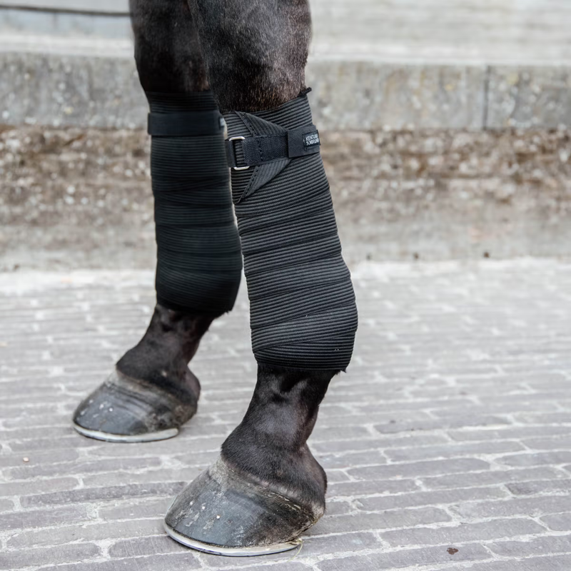 Kentucky Polar Fleece and Elastic Bandage - Black-1