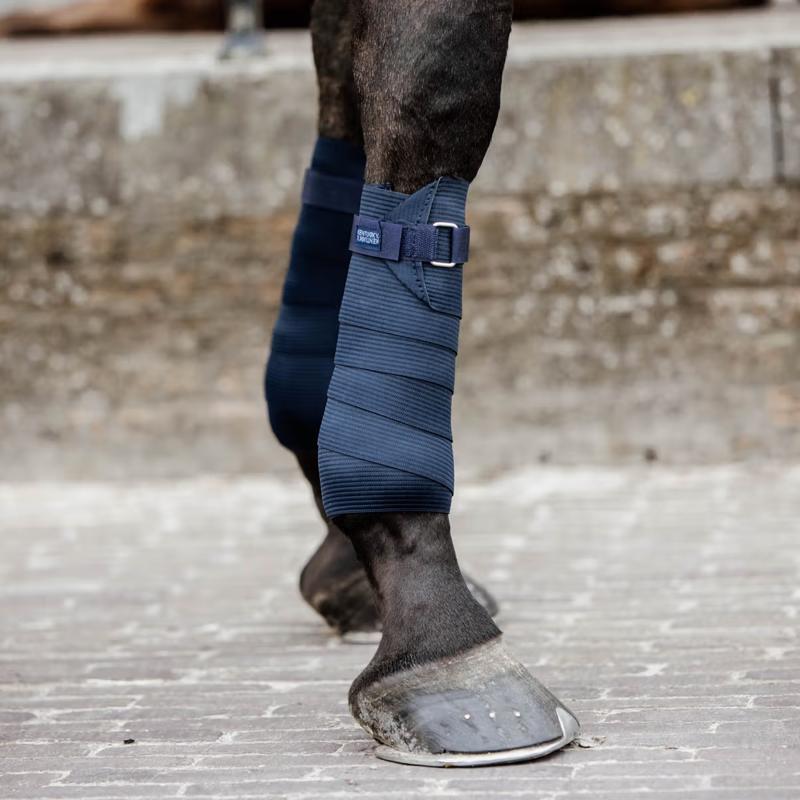 Kentucky Polar Fleece and Elastic Bandages - Blue-1