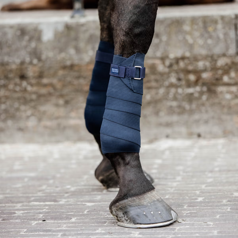 Kentucky Elastic Bandage - Navy-1