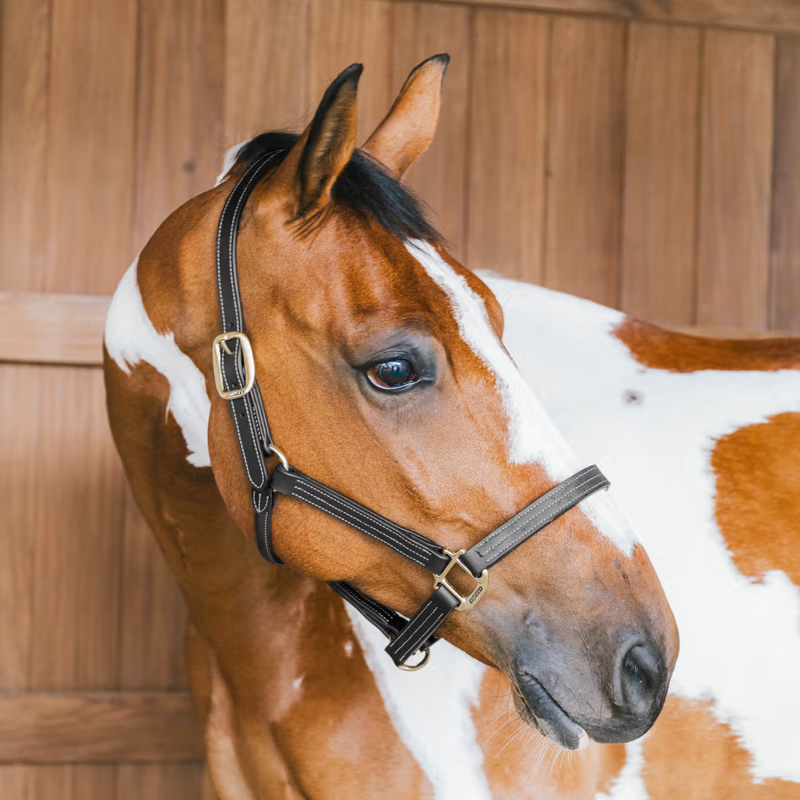 Kentucky Wellington Leather Halter - Black-1
