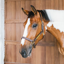 Kentucky Wellington Leather Halter - Brown