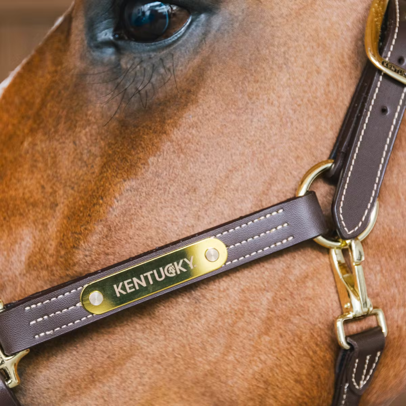 Kentucky Wellington Leather Halter - Brown-3