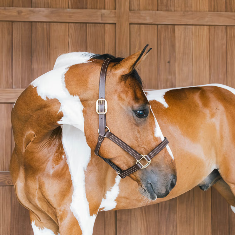 Kentucky Wellington Leather Halter - Brown-1