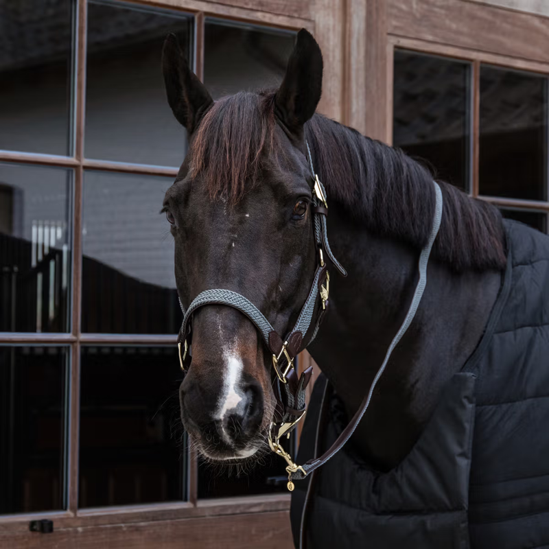 Kentucky Plaited Nylon Horse Lead 2m - Grey-3