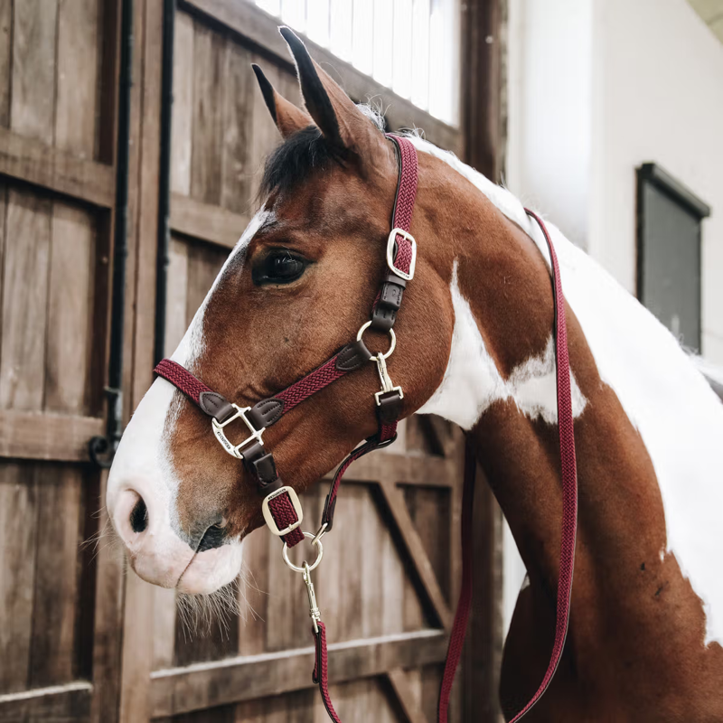 Kentucky Plaited Nylon Horse Lead 2m - Bordeaux-1