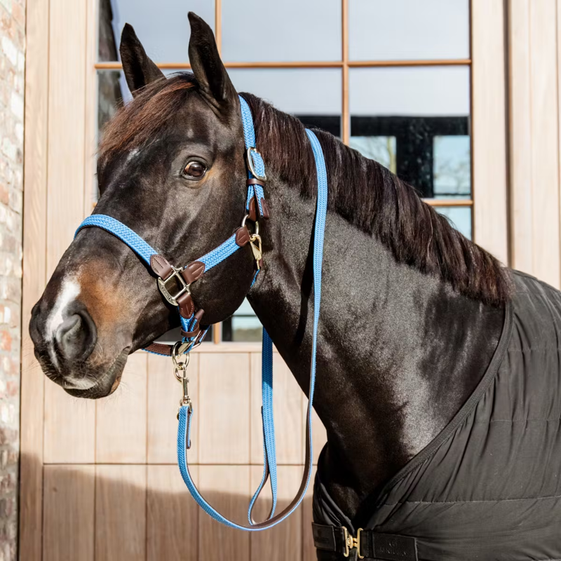 Kentucky Plaited Nylon Horse Lead 2m - Light Blue-1