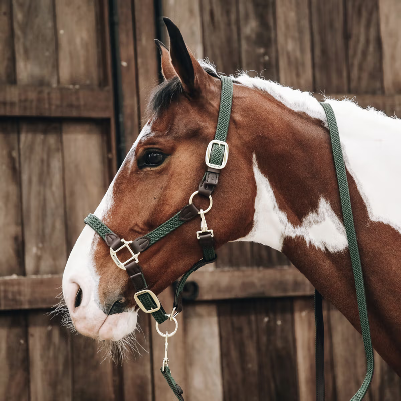 Kentucky Plaited Nylon Horse Lead 2m - Olive Green-1