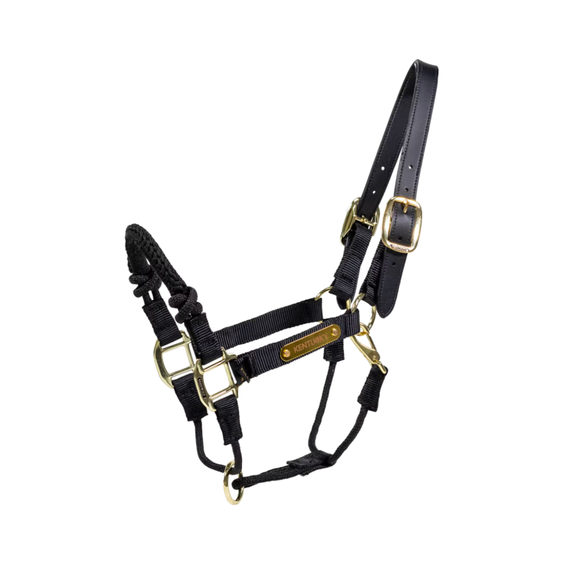 Kentucky Nylon Control Halter - Black-3