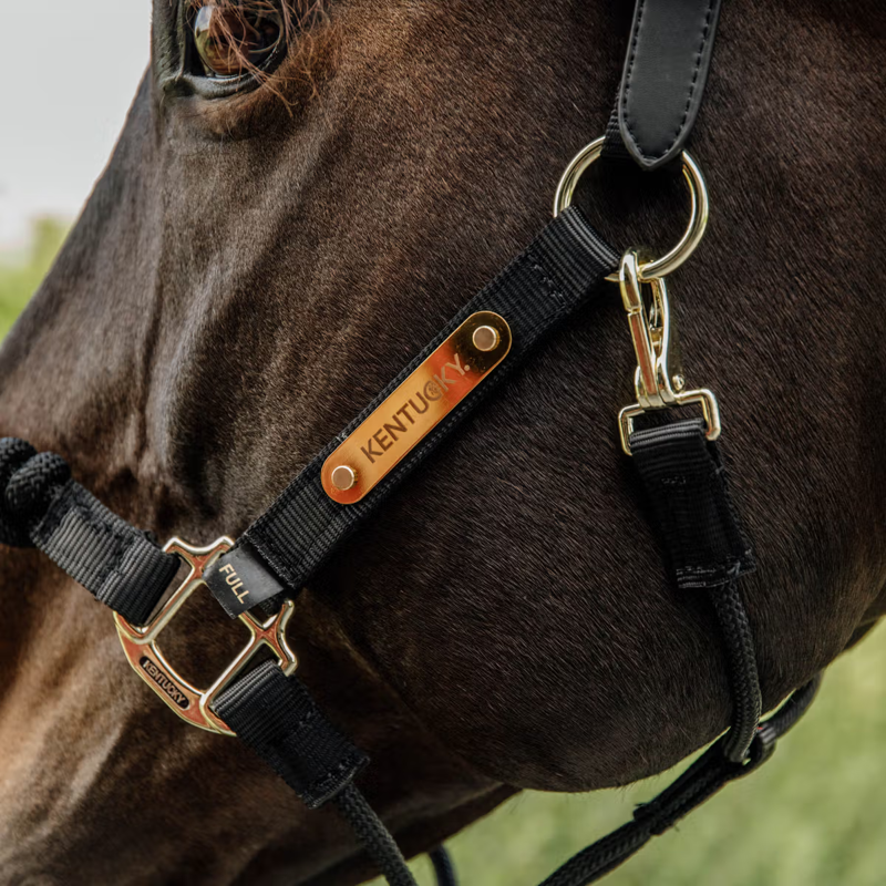 Kentucky Nylon Control Halter - Black-1