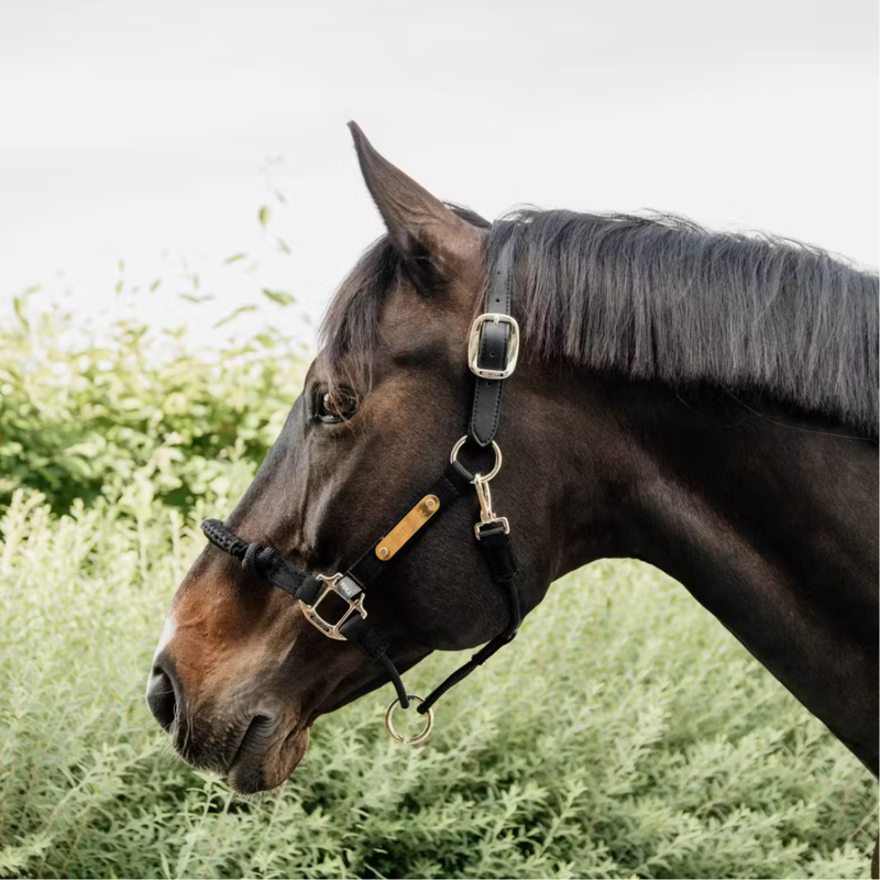 Kentucky Nylon Control Halter - Black