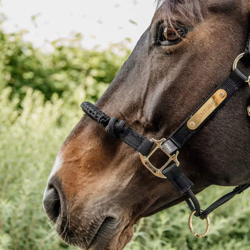 Kentucky Nylon Control Halter - Black-2