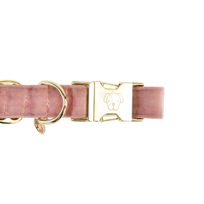 Kentucky Velvet Dog Collar - Old Rose-3