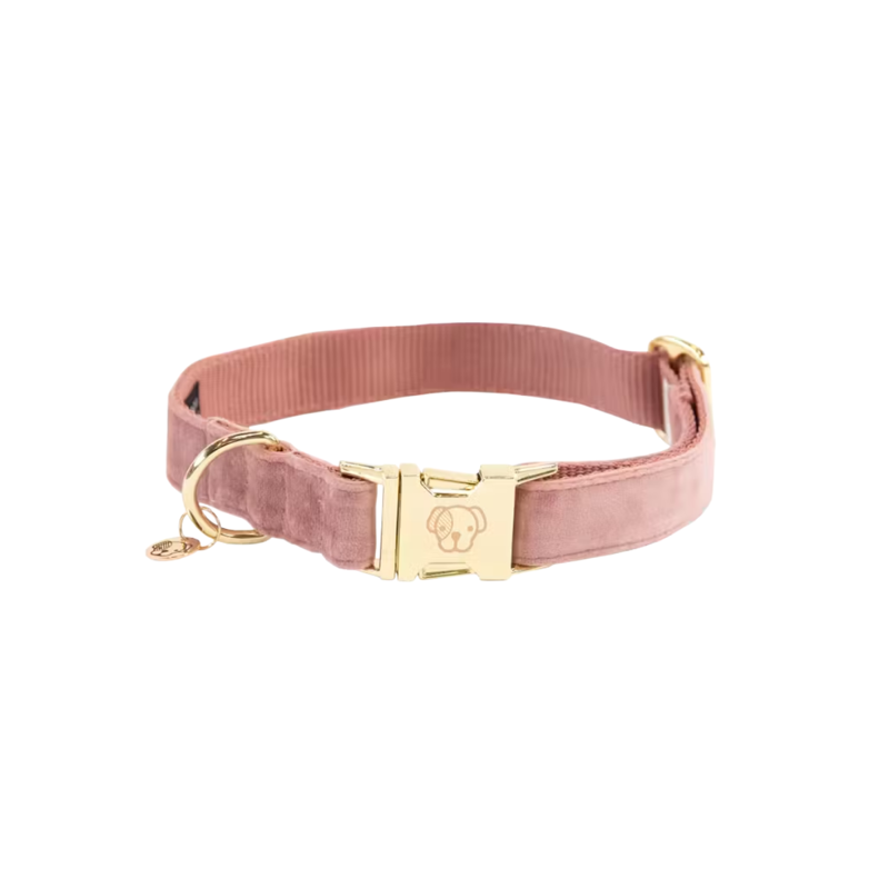 Kentucky Velvet Dog Collar - Old Rose-2