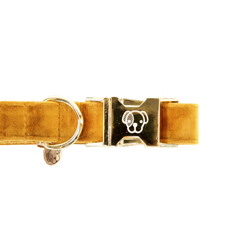 Kentucky Velvet Dog Collar - Mustard-3
