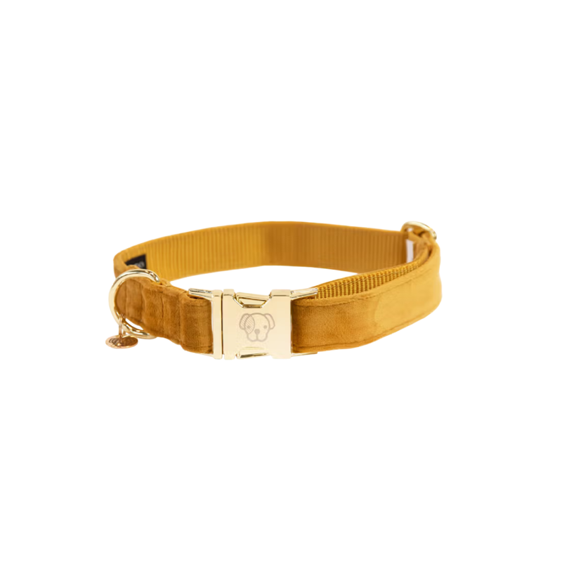 Kentucky Velvet Dog Collar - Mustard-2