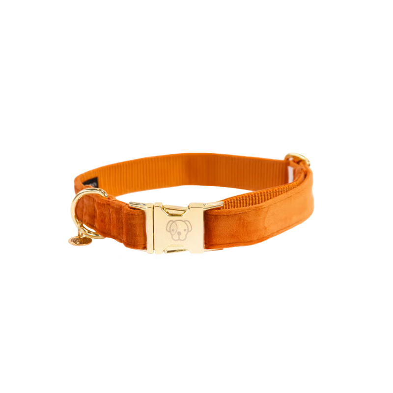 Kentucky Velvet Dog Collar - Orange-2