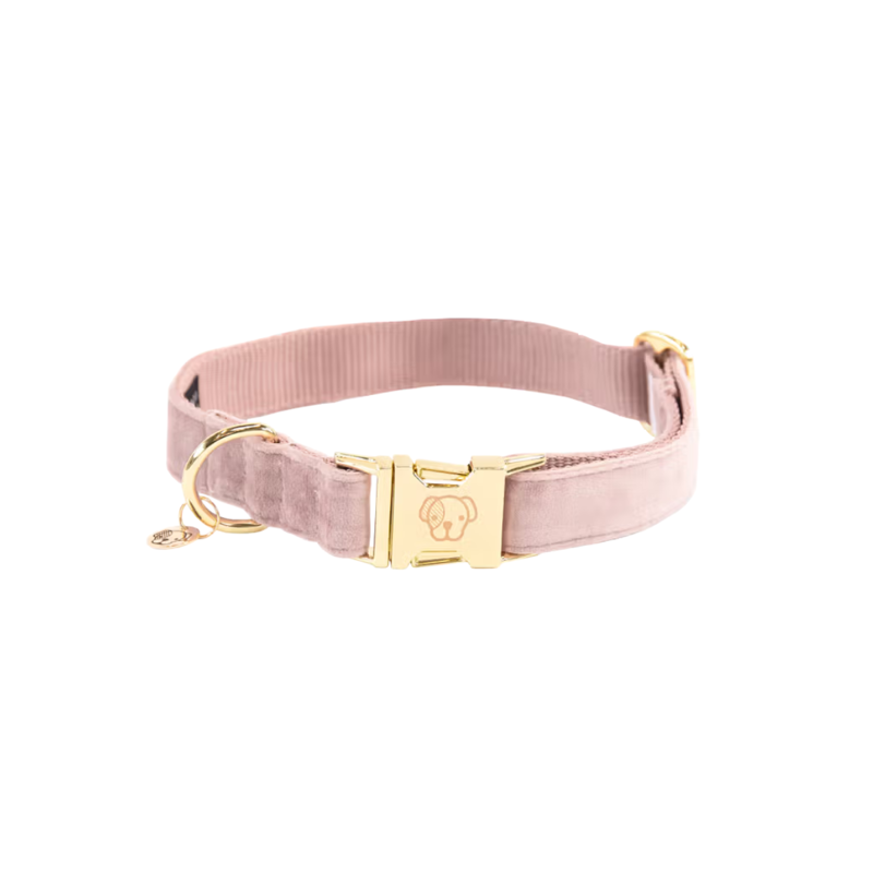 Kentucky Velvet Dog Collar - Soft Rose-2