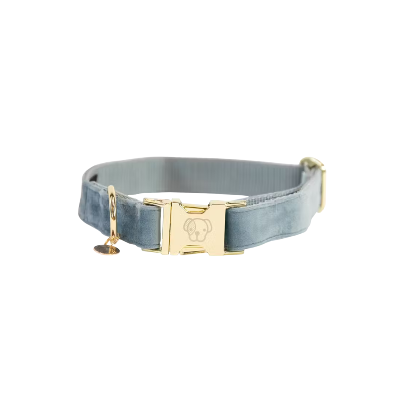 Kentucky Velvet Dog Collar - Light Blue-4