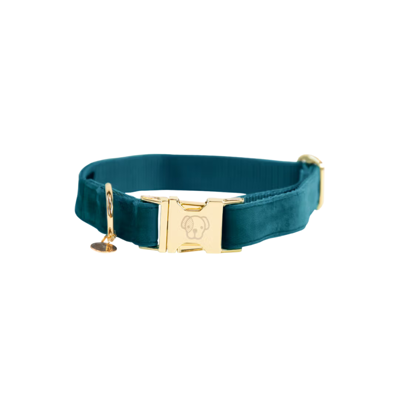 Kentucky Velvet Dog Collar - Emerald-3