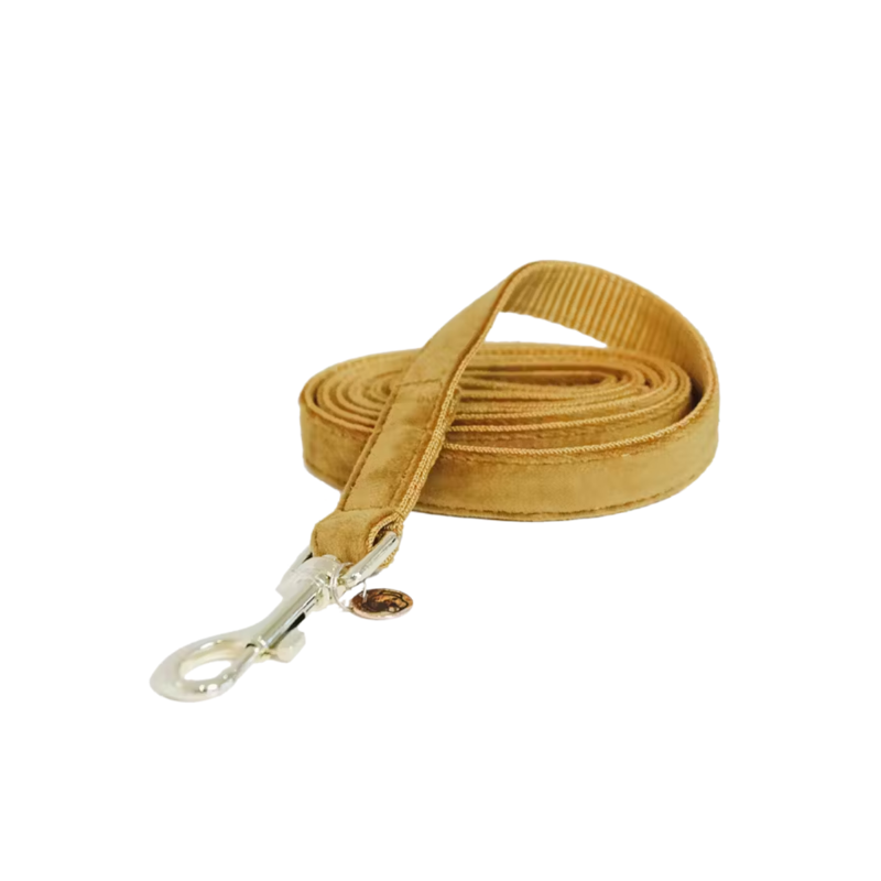 Kentucky Velvet Dog Lead 120cm - Mustard-1