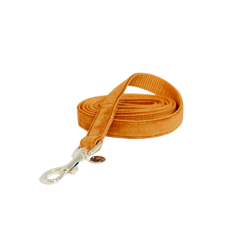 Kentucky Velvet Dog Lead 120cm - Orange-2