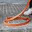 Kentucky Velvet Dog Lead 120cm - Orange