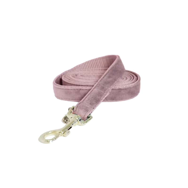 Kentucky Velvet Dog Lead 120cm - Soft Rose-1