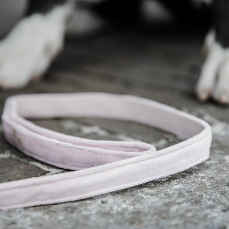 Kentucky Velvet Dog Lead 120cm - Soft Rose