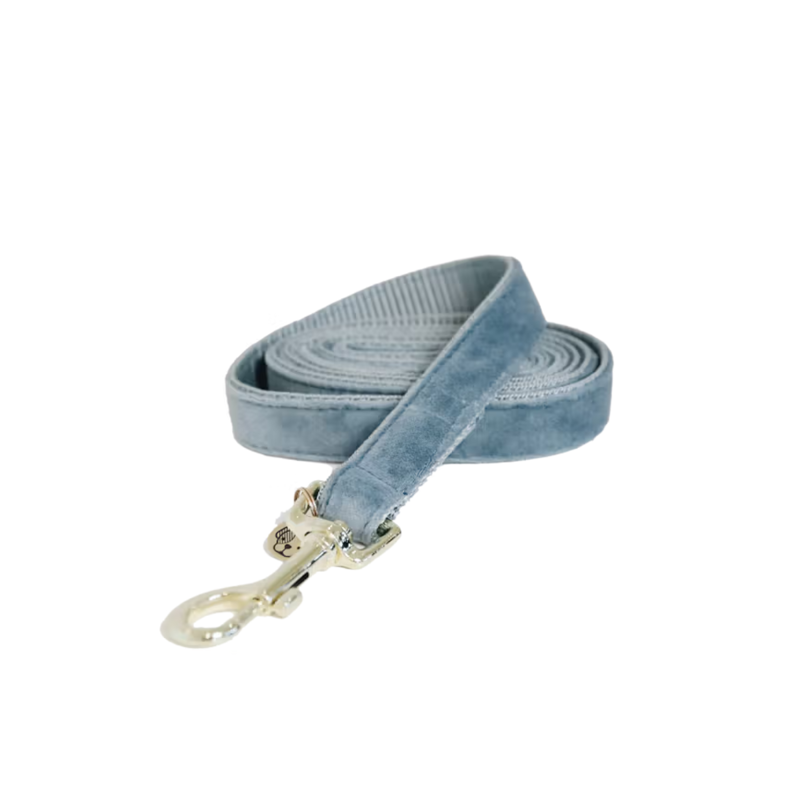 Kentucky Velvet Dog Lead 120cm - Light Blue-1