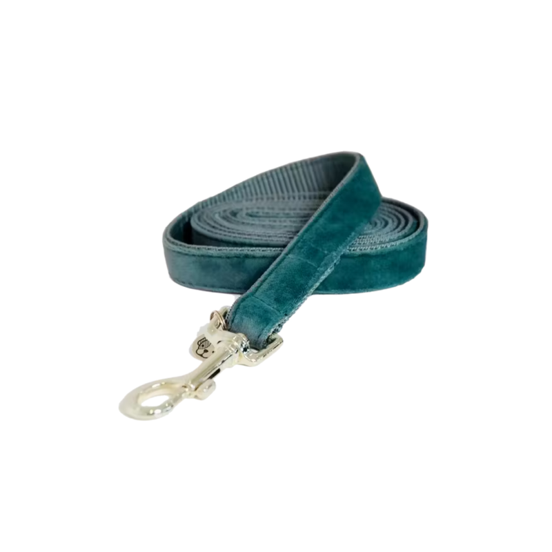 Kentucky Velvet Dog Lead 120cm - Emerald-1