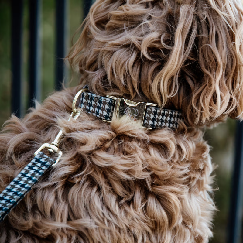 Kentucky Pied-de-Poule Dog Collar - Brown-2
