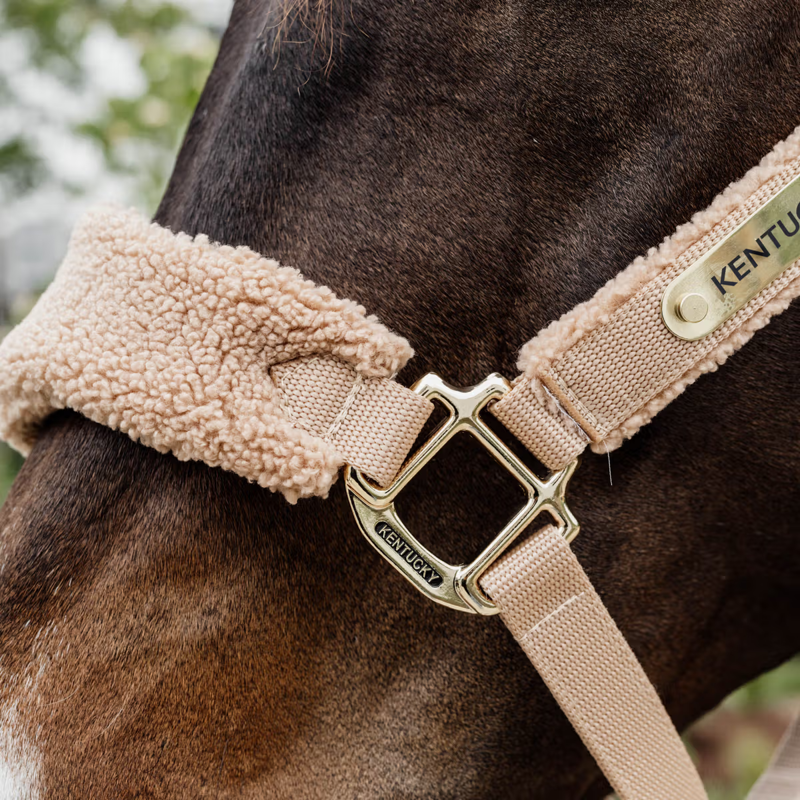 Kentucky Teddy Fleece Halter - Beige-2