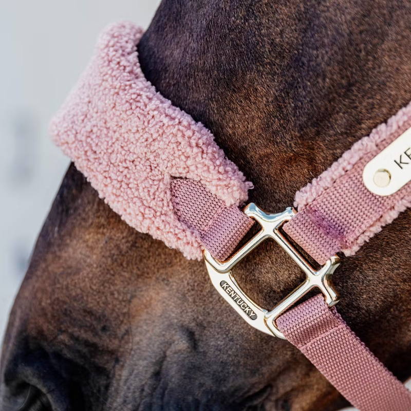 Kentucky Teddy Fleece Halter - Old Rose-2