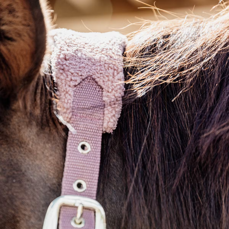 Kentucky Teddy Fleece Halter - Old Rose-3