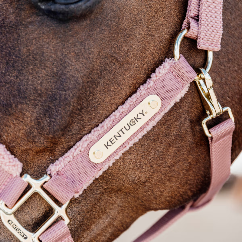 Kentucky Teddy Fleece Halter - Old Rose-1