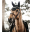 Kentucky Wellington Stone and Pearl Fly Veil - Black