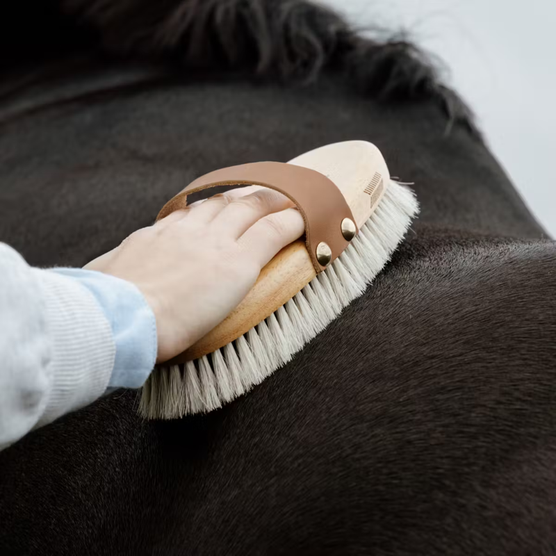 Grooming Deluxe Overall Brush Shine-2