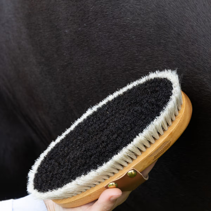 Grooming Deluxe Overall Brush Shine-3