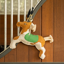 Kentucky Relax Horse Toy - Tiger