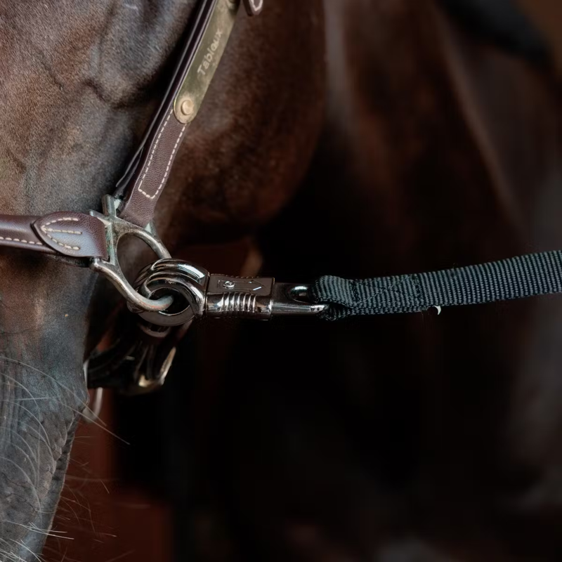 Kentucky Horse Box Safety Lead and Cross Ties - Black-2