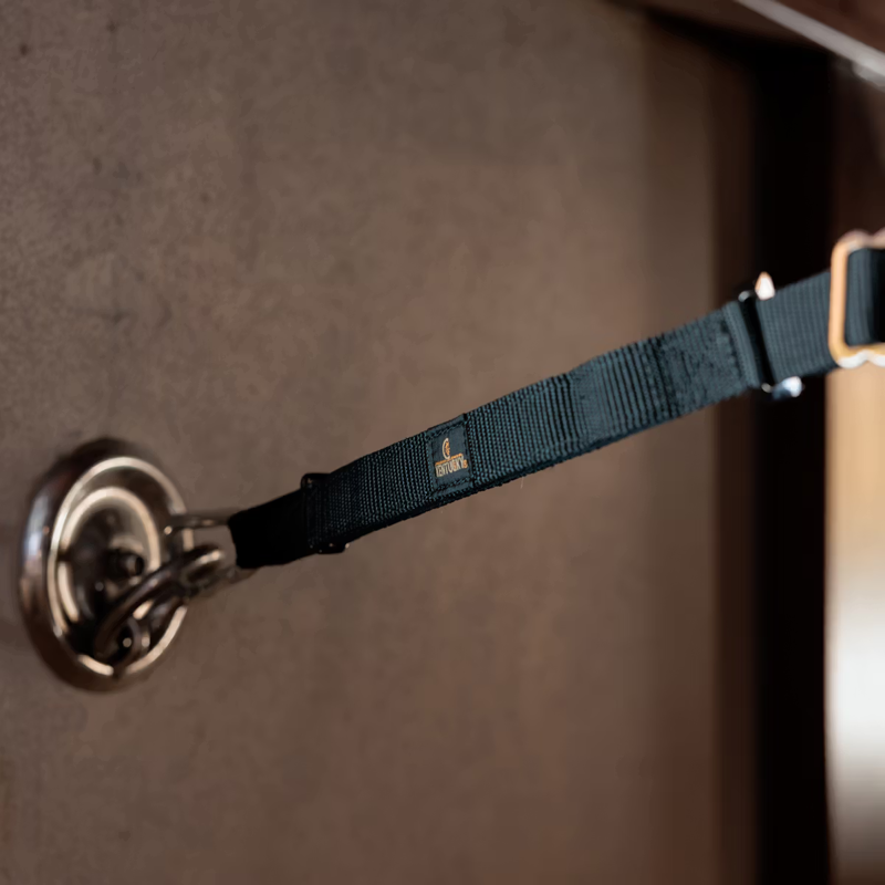 Kentucky Horse Box Safety Lead and Cross Ties - Black-3