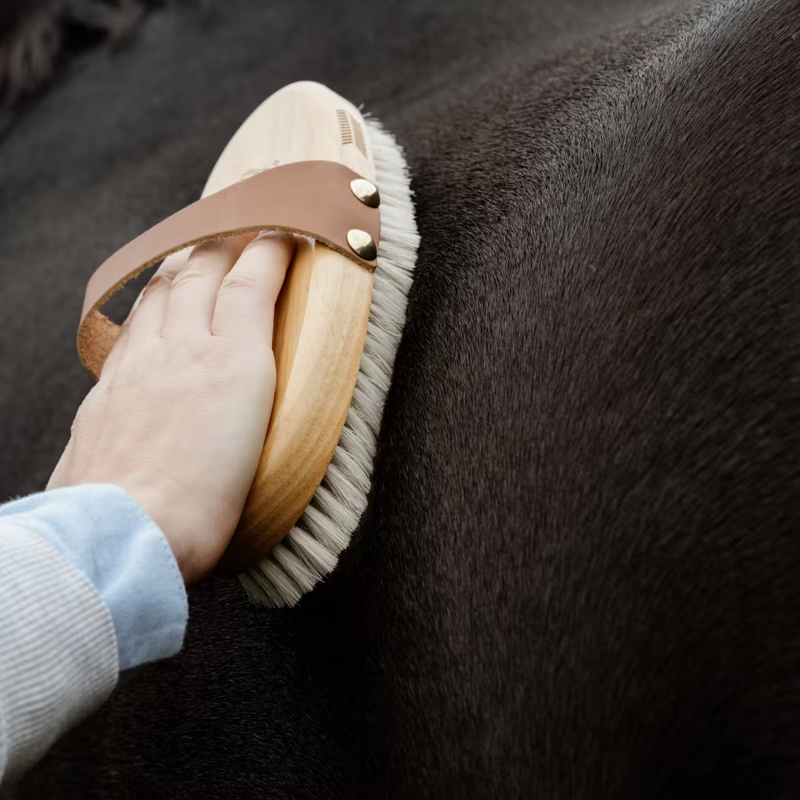 Grooming Deluxe Overall Brush Soft Shine-2