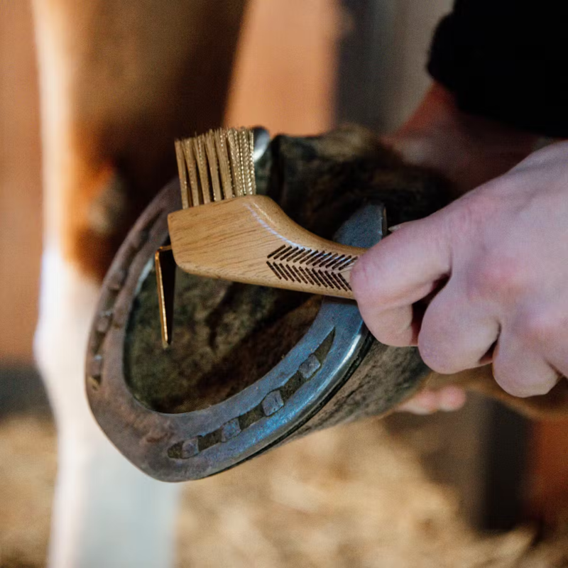 Grooming Deluxe Hoof Pick with Metal Bristle-1