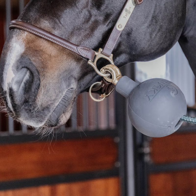 Kentucky Lead and Wall Protection Rubber Ball - Grey-2