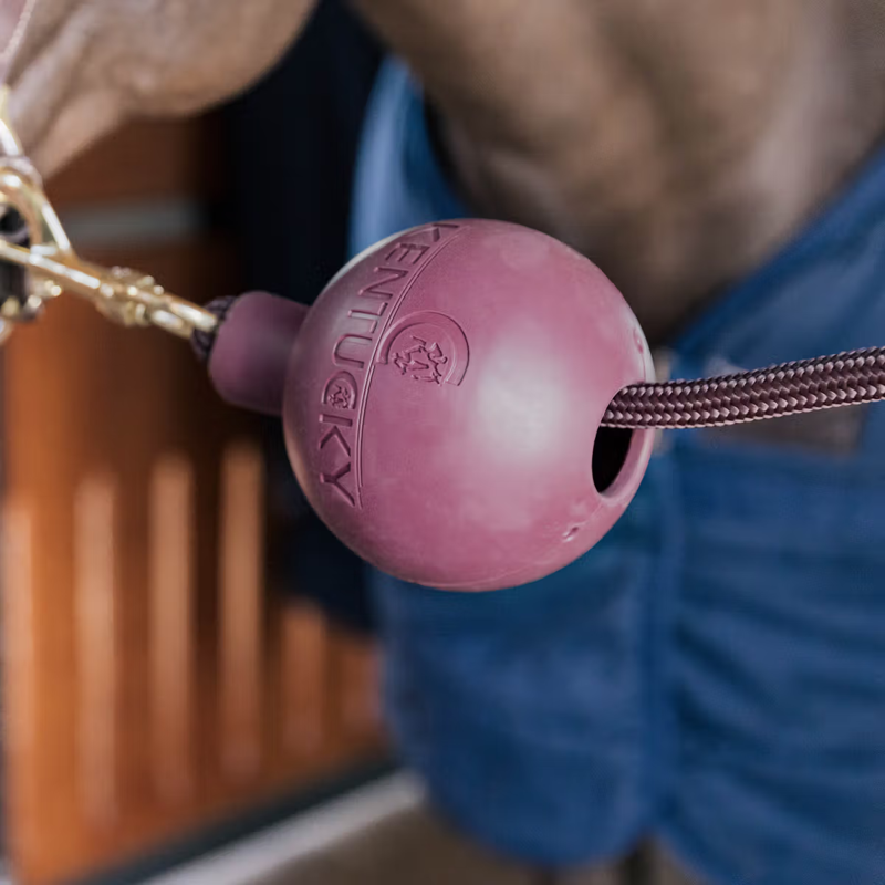 Kentucky Lead and Wall Protection Rubber Ball - Bordeaux-1