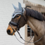 Kentucky Wellington 3D Logo Fly Veil Full - Light Blue
