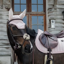Kentucky Wellington Velvet Pearls Fly Veil Full - Soft Rose