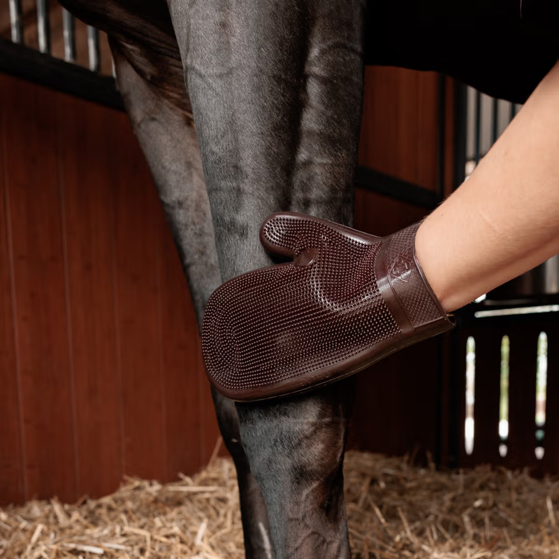 Grooming Deluxe Rubber Grooming Glove - Brown-3